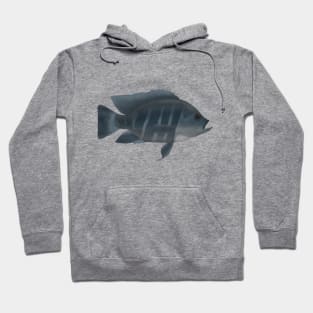 Zebra Tilapia Hoodie